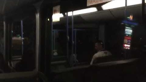 Transdev QLD Bus Route 250 Inbound