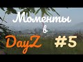 Моменты в DayZ #5