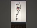 Cases solved with sperm; episode 4; sperm crime trivia