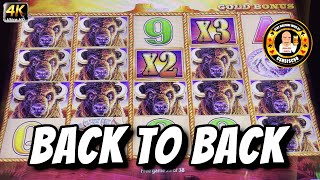 Back To Back $7.20 MAX BET JACKPOTS On Buffalo Gold Slot Machines