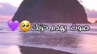 حالات واتس/صوت يهدم حزنك قرأن كريم