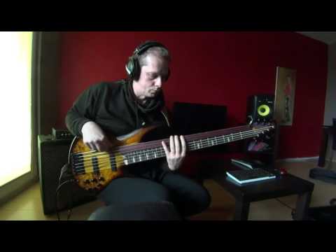 Ibanez Ashula SRAS7 - Awesome hybrid fretless/fretted 7 string bass - Kosma Kalamarz