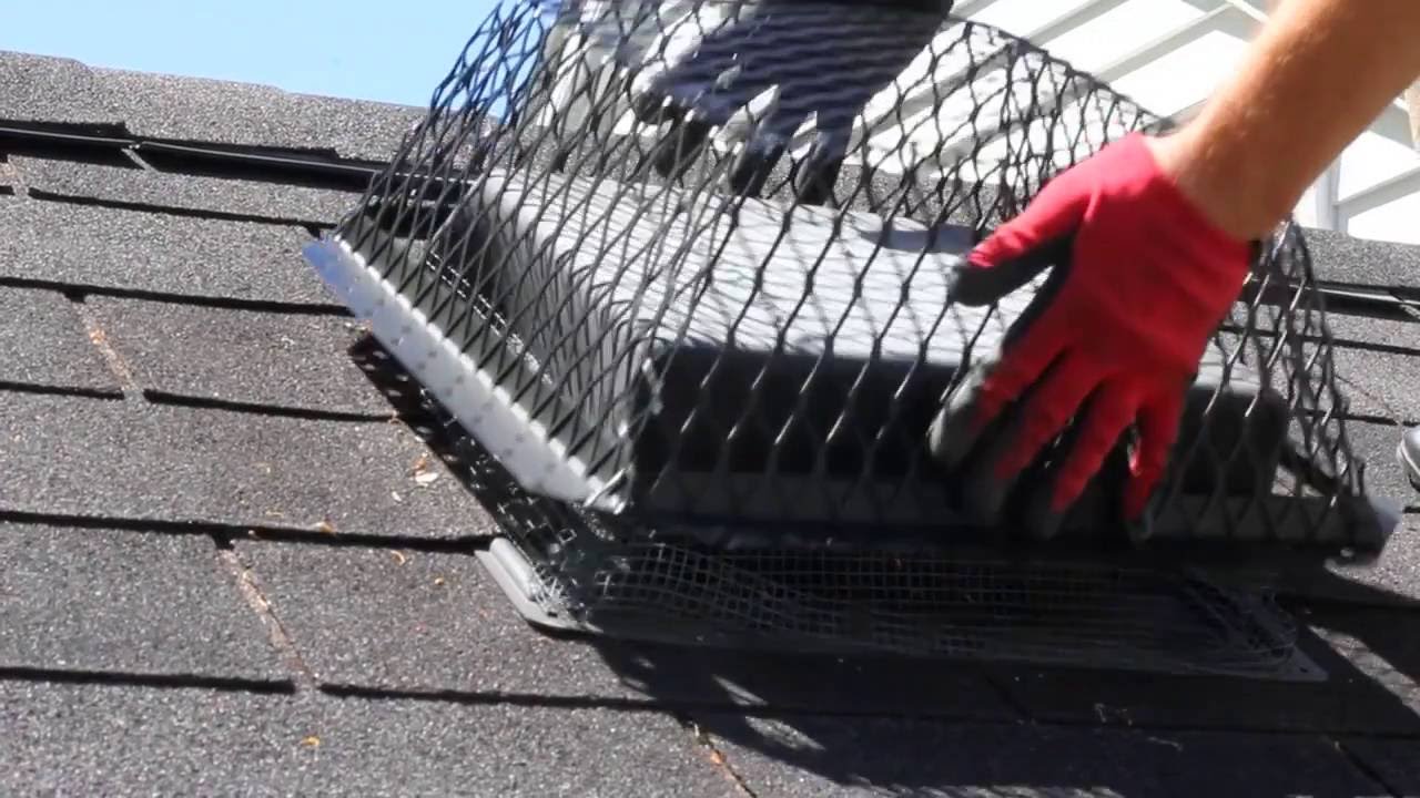 Colonial Pest Control - Exterminator and Wildlife Removal in MA & NH