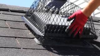 Colonial Pest Control - Exterminator and Wildlife Removal in MA & NH
