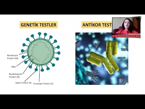 Video: ABD'de Coronavirüs Testi Yaptırmanın Etkili Yolları