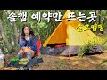 배치도 에도 없는 자연휴양림 노지사이트 l 솔로캠핑 l 백패킹 초보입문자 코스 추천 l 캠핑