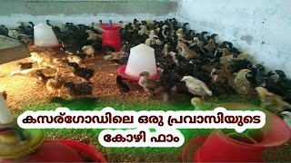 കസര്ഗോഡിലെ ഒരു പ്രവാസിയുടെ  കോഴി ഫാം/ kasaragod manjeshwar kozhi farm