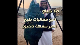 فعاليات طبخ اكبر سمكة نابليون من سناب ابو مشاري