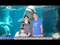 The BIGGEST Aquarium in the World!! The Georgia Aquarium in Atlanta
