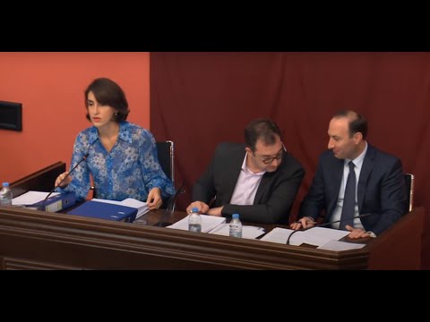 კომიტეტების  ერთობლივი სხდომა - 07.09.2022