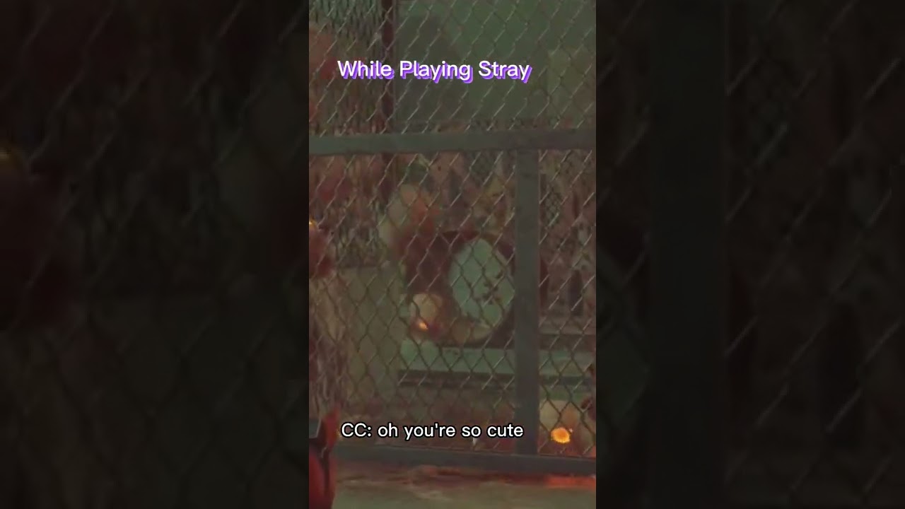 arent they? 👀😂 