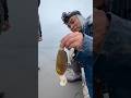 Massive Razor Clam With A Huge Digger Massive Razor Clam With A Huge Digger