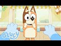 最高のチリ 🥰🧡 | ブルーイ - 日本公式チャンネル - Bluey