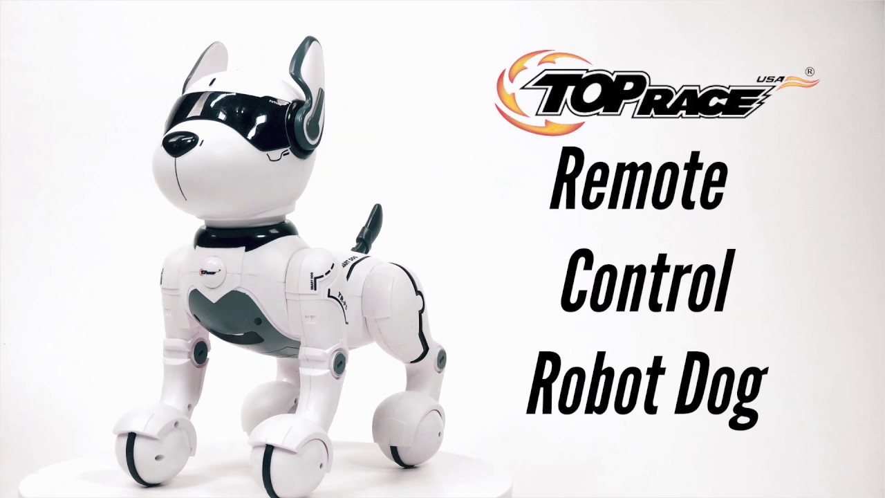 Top Race Remote Control Robot Dog Toy for Kids, Interactive & Smart Da