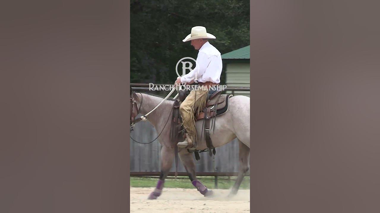 How To Get A Horse Soft Pt 3 6 YouTube