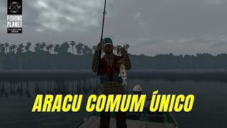 Fishing Planet Rio Brasil Aracu Comum Único