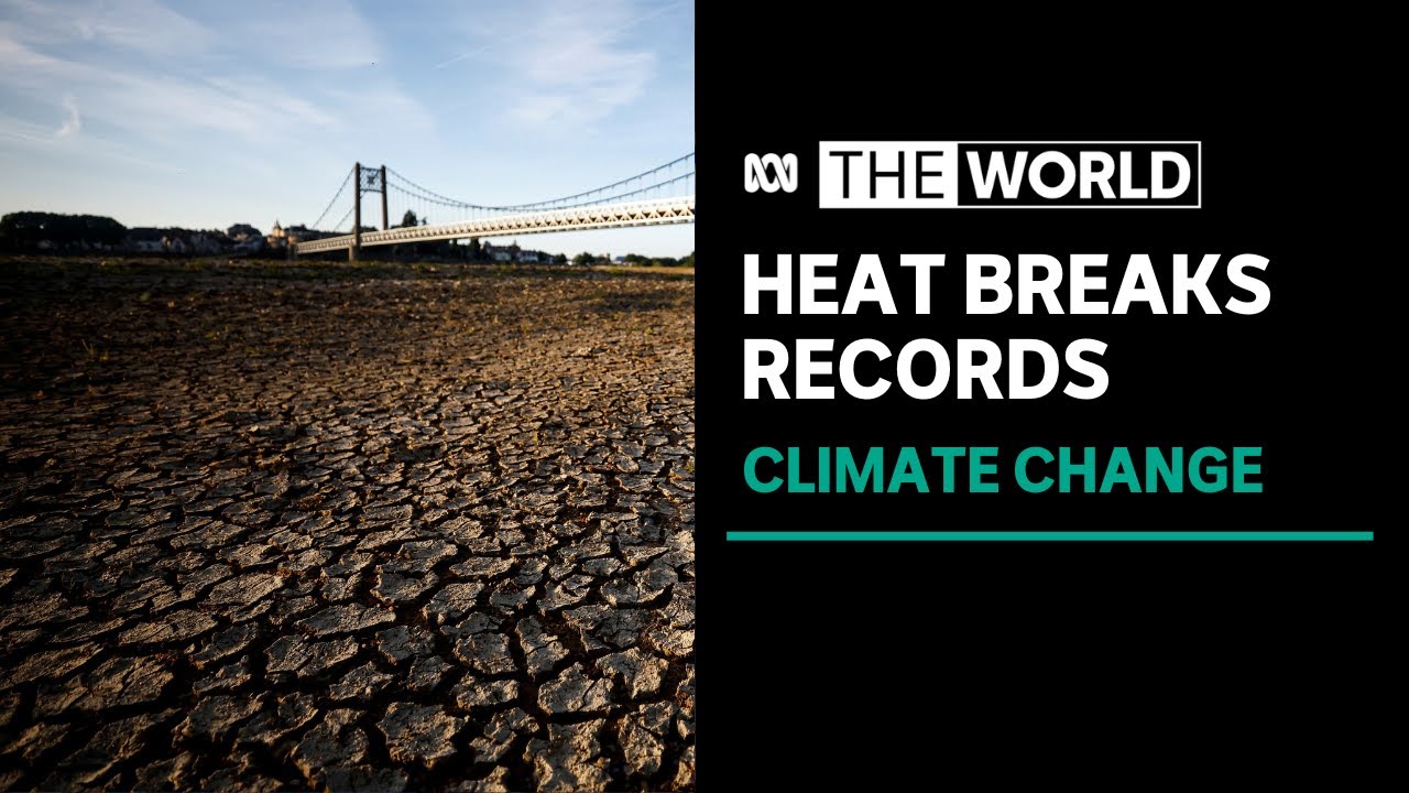 The world has been its hottest on record for 10 months straight | The World