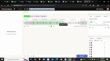 VAD Annotation Sample | Voice Activity Detection | Speech, Echo & Noise Labeling in Label Studio