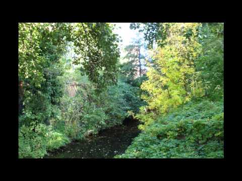 Blonker — Blonker - Tree of life