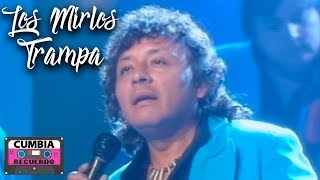 Video thumbnail of "LOS MIRLOS - TRAMPA (VIDEO OFICIAL)"