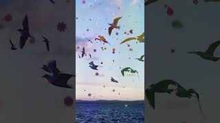 Medinenin Yollarında - En Güzel İlahiler Resimi