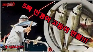 슈퍼 전갱이 슈퍼 고등어낚시 [ 초보도 잡는 국민 생선 ] 🐟 메가리,아지 ( アジ ) mackerel 🐟 Japanese jack mackerel 읍천항 [ 나까호 ] #2