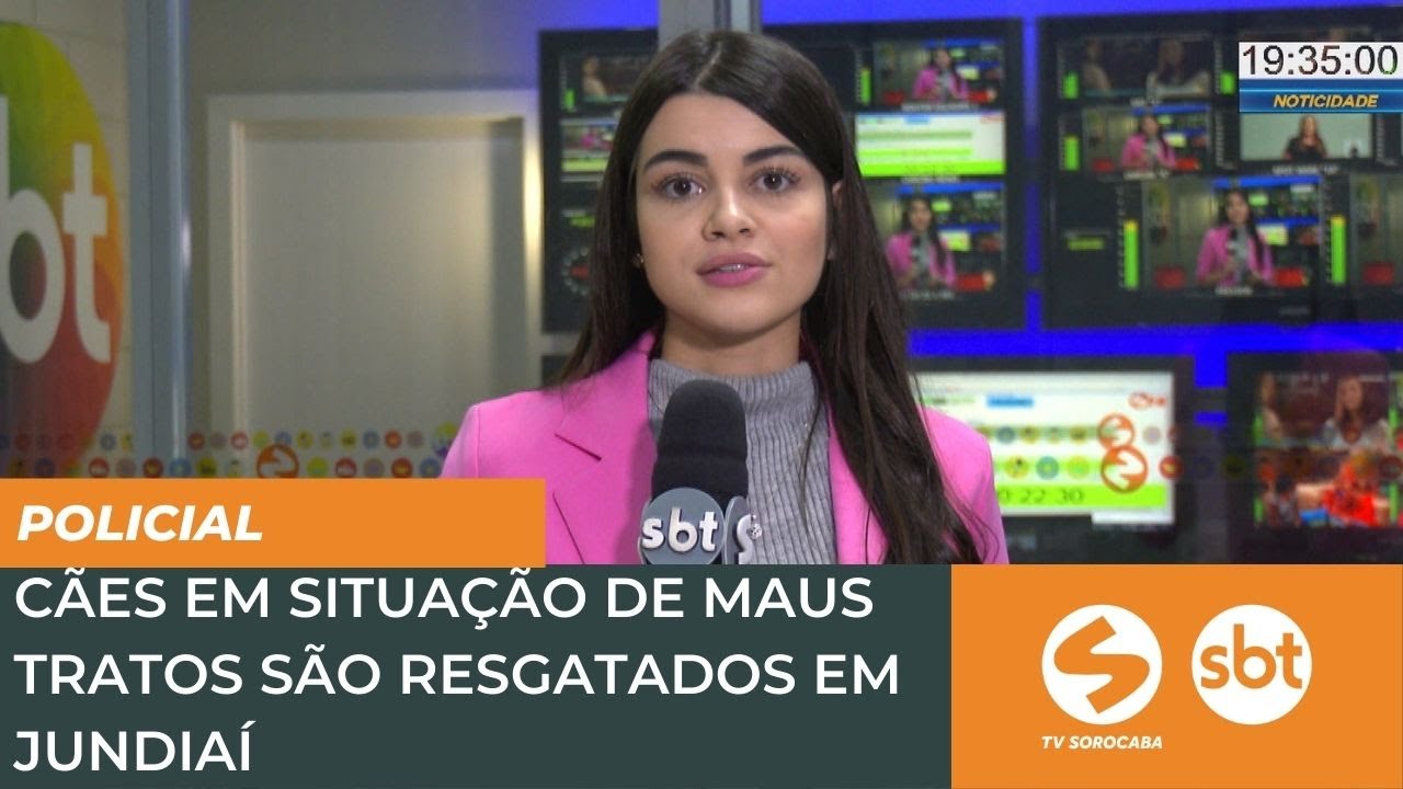 Veterinária diz que cães resgatados em situação de abandono estão  desnutridos e doentes: 'Revoltante', Sorocaba e Jundiaí