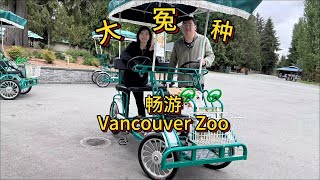 Great Vancouver Zoo在温哥华动物园当了一回大冤种。