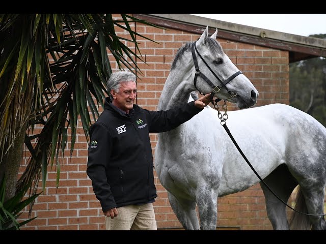 Steve Hart Chats to Trainer Terry Evans.