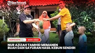 Anggota Dpr Ri Nur Azizah Tamhid Bersama Anakanak Memanen Buah Dan Sayuran