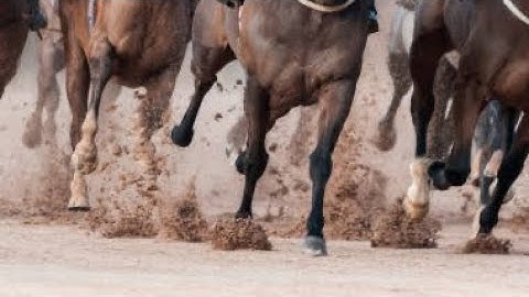 Surat Al-Adiyat (The Racers) 100 سورة العاديات