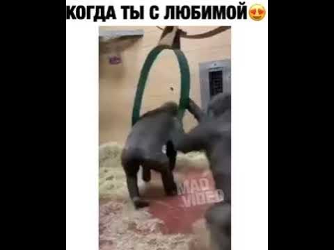 В БЕЛОМ ТАНЦЕ КРУЖИМСЯ - YouTube