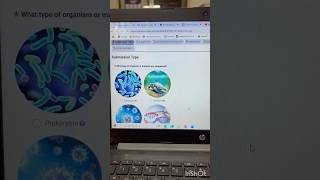Bacterial Microbes sequence submission on NCBI #NCBI #Genbank #Microbesequence #microbiology