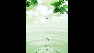 Leaves And Water Drops Live Wallpaper screenshot 4