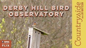 Derby Hill Bird Observatory | Countryside with Jay Matteson