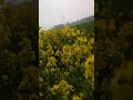 আমার বন্ধু। #trending #funny