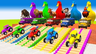 5 Giant Ducks Gorilla Cows Tigers Lions Elephant Fountain Crossing Animal Transforms Paint Animals