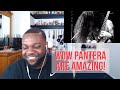 Pantera - Domination (Live Video) Reaction