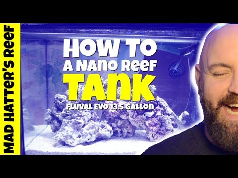 Video: Come impostare un serbatoio Nano-Reef