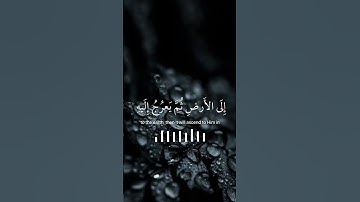 #راحة_نفسية #قران_كريم #تلاوة_خاشعة #عبدالرحمن_مسعد