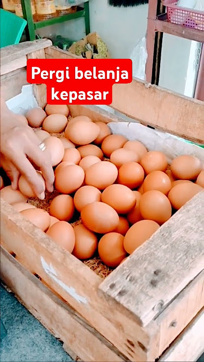 Belanja cabe sama bawang merah #shorts #pasar #cabe #keseharian #fyp