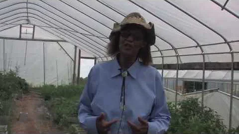 Small Farm Expo "Tennessee Organic Vegetable Farm"