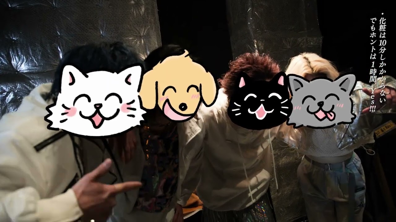 猫被ってんじゃねぇよ / LIVE -2024/02/02 新宿BLAZE- - YouTube