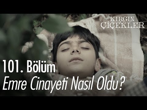 Emre Cinayeti Nasıl Oldu Kırgın Çiçekler 101 Bölüm