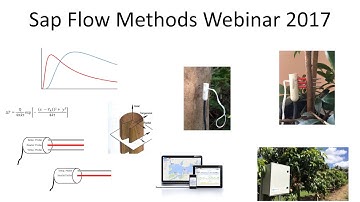 Part One: Sap Flow Methods