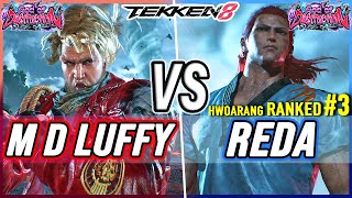 T8 🔥 M-D-Luffy (Paul) vs Reda (#3 Ranked Hwoarang) 🔥 Tekken 8 High Level Gameplay