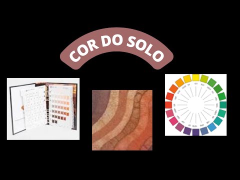 Vídeo: Qual é a cor do solo?