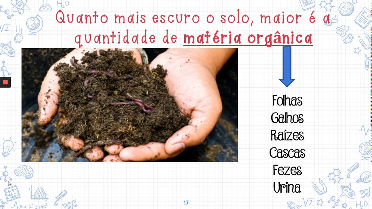 Relacione Os Tipos De Solo As Suas Características
