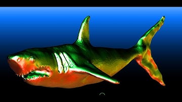 Shark Blender Sculpt Timelapse