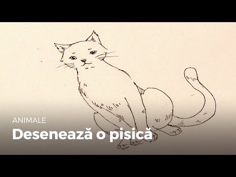 Video: Cum Să înveți Să Desenezi Pisici
